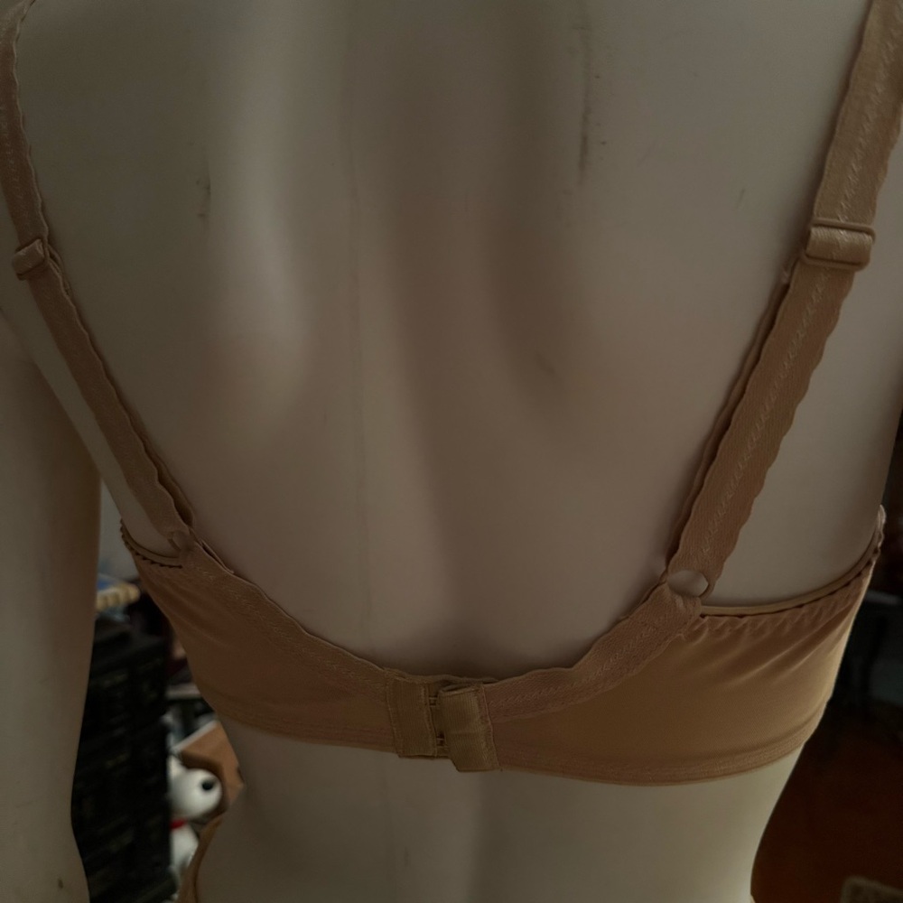 Chantelle Lace Bra in Brown - Picture 3 of 9